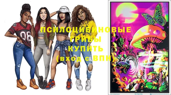 соль ск Балахна