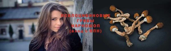 альфа пвп Беломорск