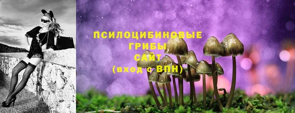 спиды Белоозёрский