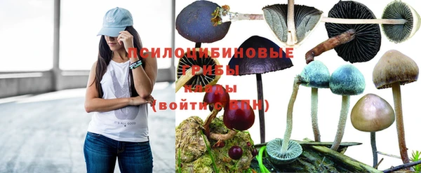 гашиш Белокуриха